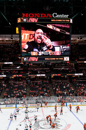 100426_ANAHEIM_DUCKS_RMR15204