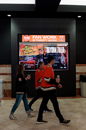 100426_ANAHEIM_DUCKS_RMR14448
