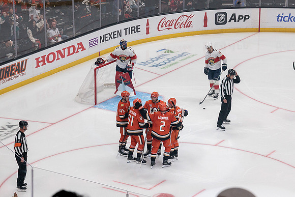 100426_ANAHEIM_DUCKS_RMR11081