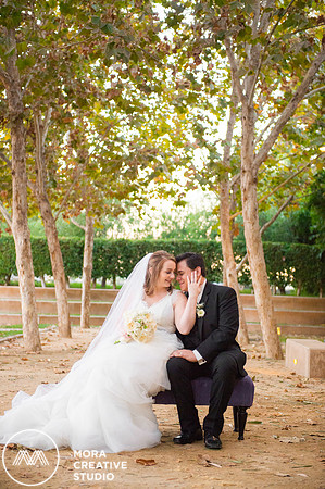WEDDING_111415_01114