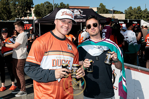 100426_ANAHEIM_DUCKS_RMR11328