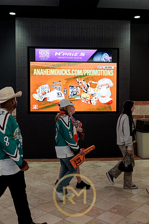 100426_ANAHEIM_DUCKS_RMR11914