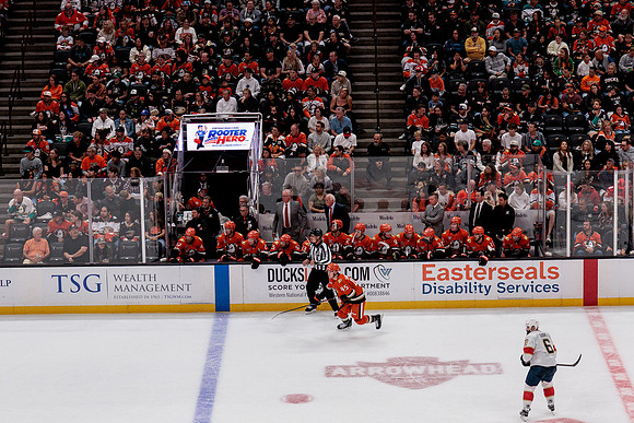 100426_ANAHEIM_DUCKS_RMR10136