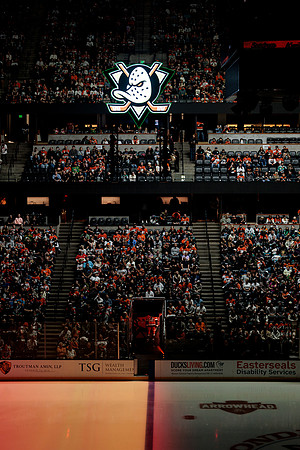 100426_ANAHEIM_DUCKS_RMR16287