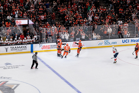 100426_ANAHEIM_DUCKS_RMR19872