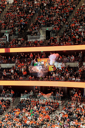 100426_ANAHEIM_DUCKS_RMR16688