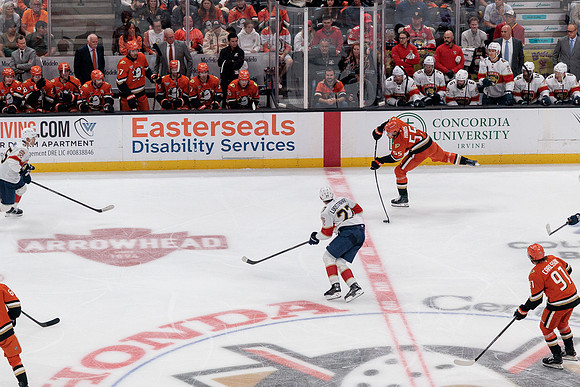 100426_ANAHEIM_DUCKS_RMR11784