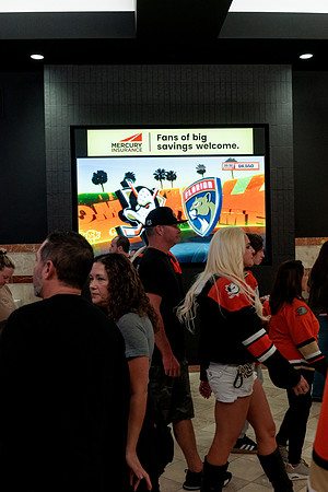 100426_ANAHEIM_DUCKS_RMR13162