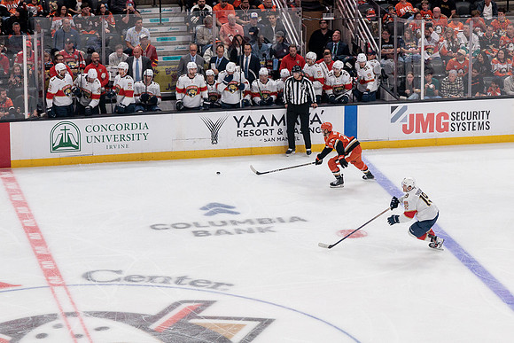 100426_ANAHEIM_DUCKS_RMR11444