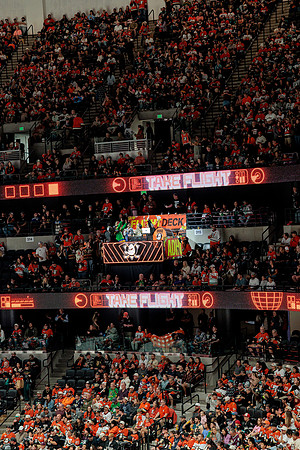 100426_ANAHEIM_DUCKS_RMR16636