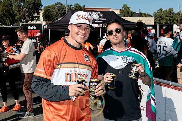 100426_ANAHEIM_DUCKS_RMR11330