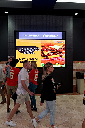 100426_ANAHEIM_DUCKS_RMR12805