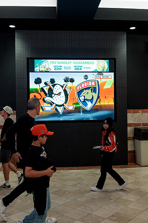 100426_ANAHEIM_DUCKS_RMR12550