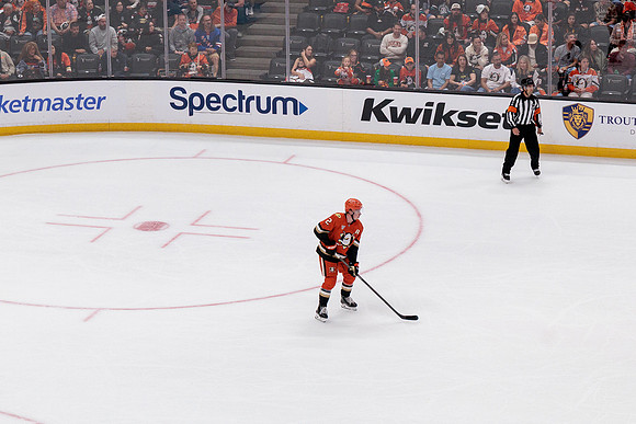 100426_ANAHEIM_DUCKS_RMR10199