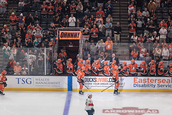 100426_ANAHEIM_DUCKS_RMR11128
