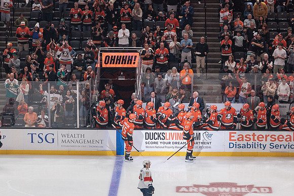100426_ANAHEIM_DUCKS_RMR11125