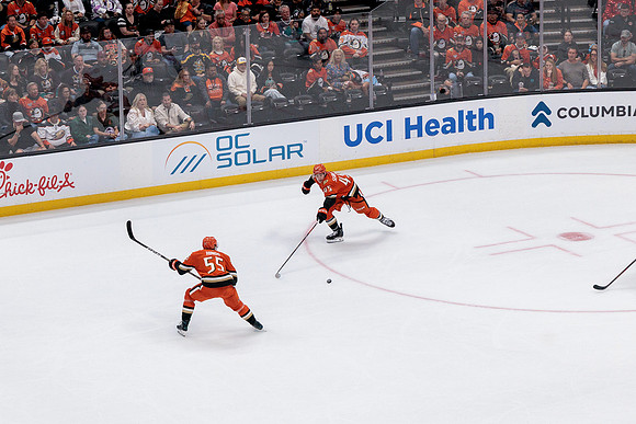 100426_ANAHEIM_DUCKS_RMR10329