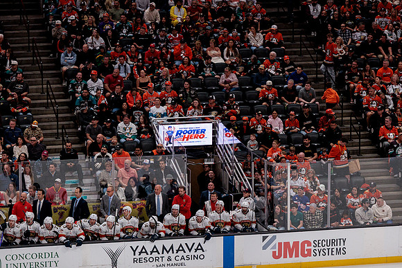 100426_ANAHEIM_DUCKS_RMR10133
