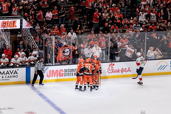100426_ANAHEIM_DUCKS_RMR19918