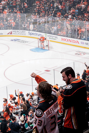 100426_ANAHEIM_DUCKS_RMR11149