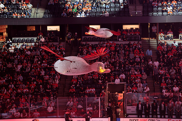 100426_ANAHEIM_DUCKS_RMR15850