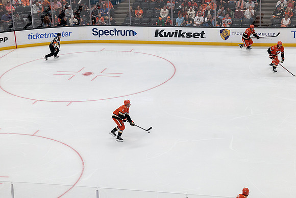 100426_ANAHEIM_DUCKS_RMR17187