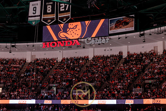 100426_ANAHEIM_DUCKS_RMR17796