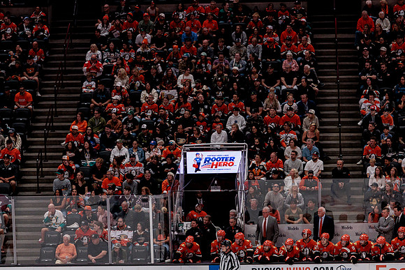 100426_ANAHEIM_DUCKS_RMR10141