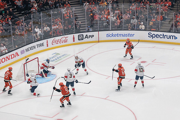 100426_ANAHEIM_DUCKS_RMR10960