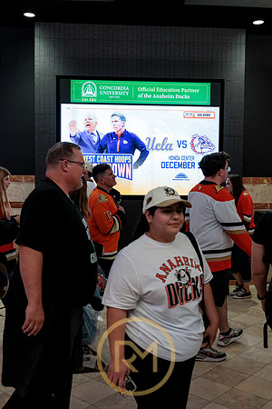 100426_ANAHEIM_DUCKS_RMR11853