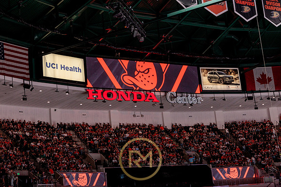 100426_ANAHEIM_DUCKS_RMR17830