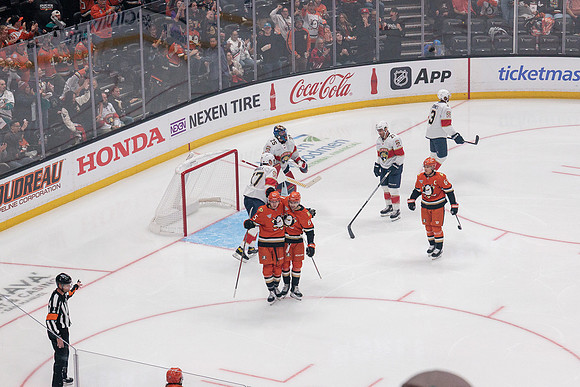 100426_ANAHEIM_DUCKS_RMR11022