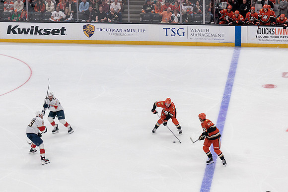 100426_ANAHEIM_DUCKS_RMR11677