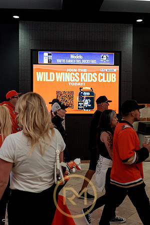 100426_ANAHEIM_DUCKS_RMR12331