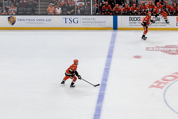 100426_ANAHEIM_DUCKS_RMR18631