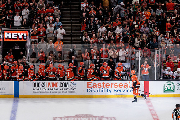 100426_ANAHEIM_DUCKS_RMR19934