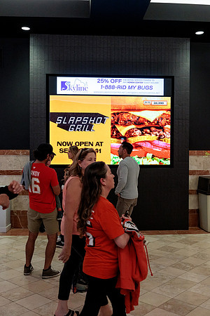 100426_ANAHEIM_DUCKS_RMR12787