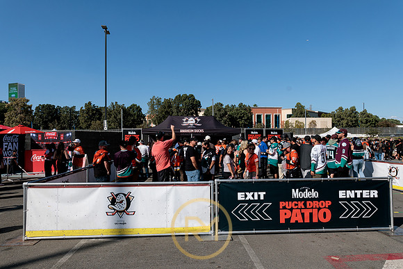100426_ANAHEIM_DUCKS_RMR11322