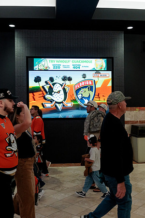 100426_ANAHEIM_DUCKS_RMR12540