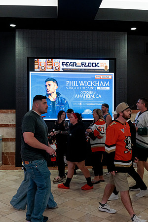 100426_ANAHEIM_DUCKS_RMR14160