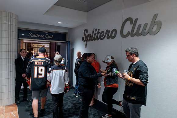 100426_ANAHEIM_DUCKS_RMR13533