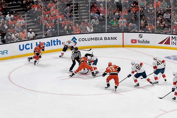 100426_ANAHEIM_DUCKS_RMR17913