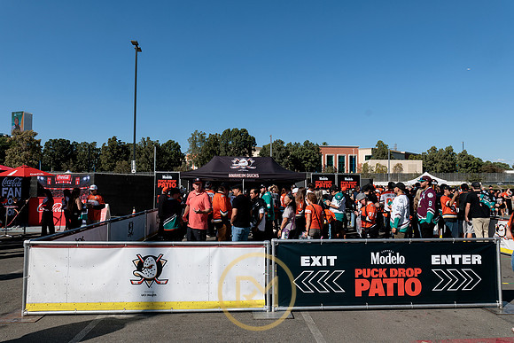 100426_ANAHEIM_DUCKS_RMR11324