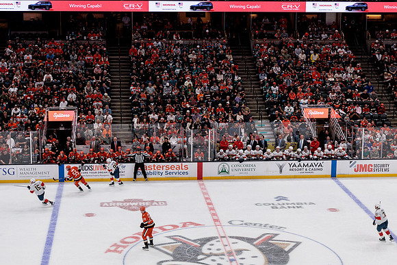 100426_ANAHEIM_DUCKS_RMR18854