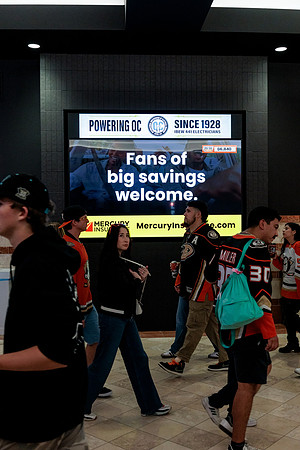 100426_ANAHEIM_DUCKS_RMR14704
