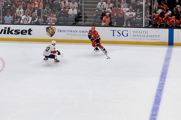 100426_ANAHEIM_DUCKS_RMR19587