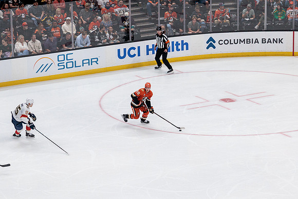 100426_ANAHEIM_DUCKS_RMR12011