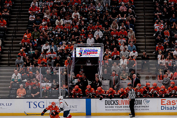 100426_ANAHEIM_DUCKS_RMR10092