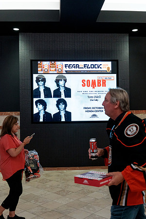 100426_ANAHEIM_DUCKS_RMR14095
