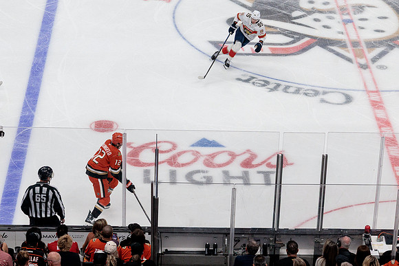 100426_ANAHEIM_DUCKS_RMR17371
